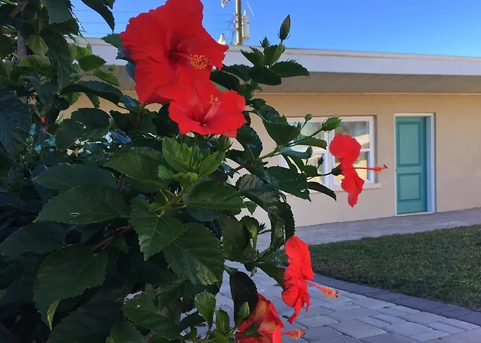Bonifay Motels