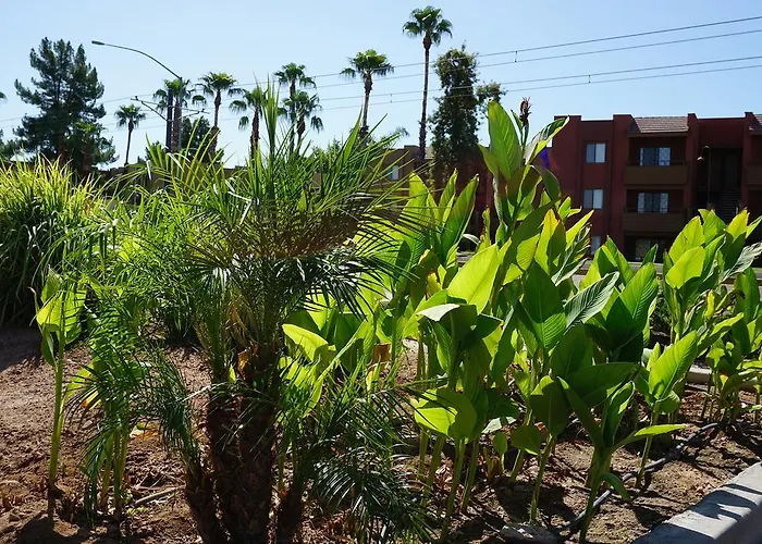 Queen Creek Motels
