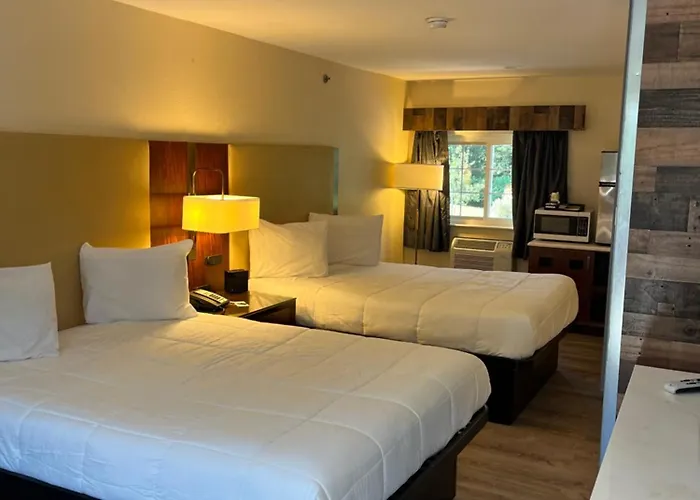 Rochester Motels