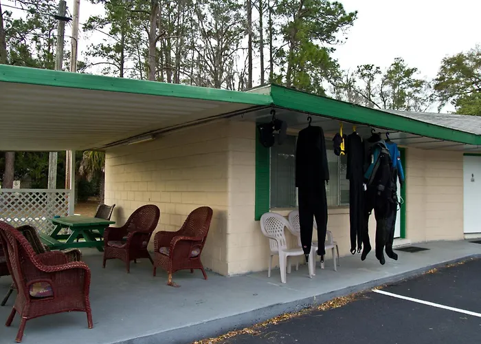Steinhatchee Motels