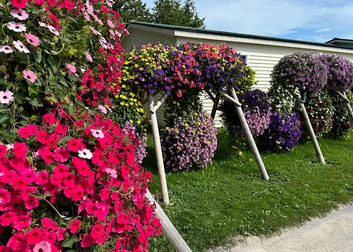 Mackinac Island Motels
