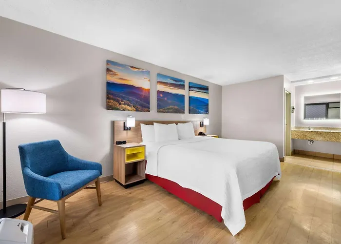 Wake Forest Motels