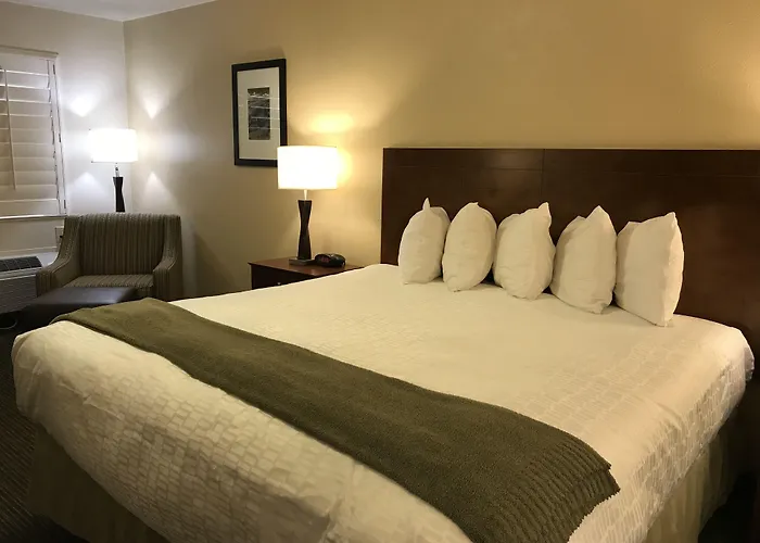 Dinosaur Motels