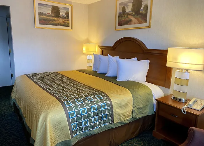 Lexington Motels