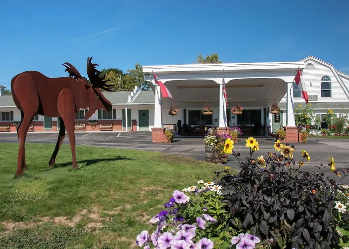Moultonborough Falls Motels