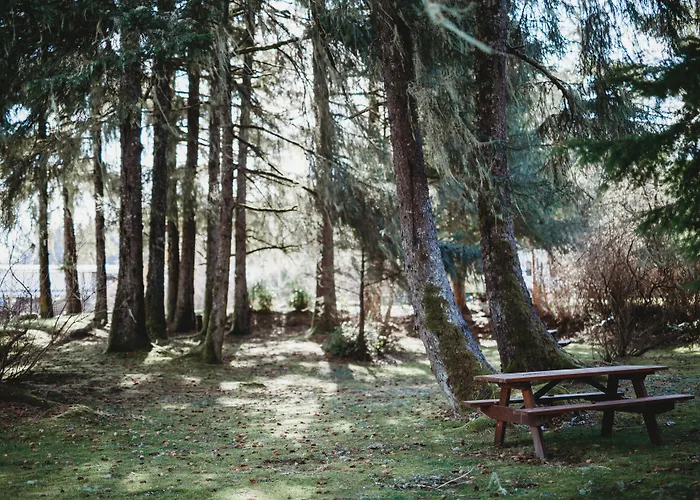 Port Hardy Motels