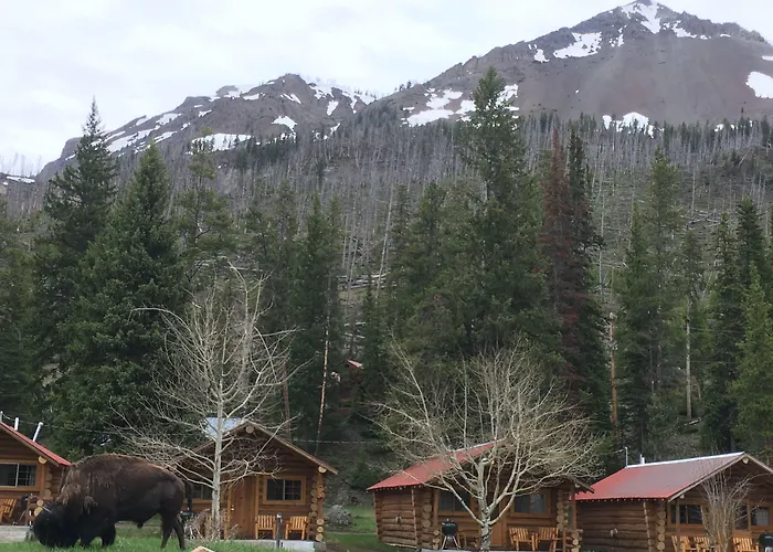 Cooke City Motels