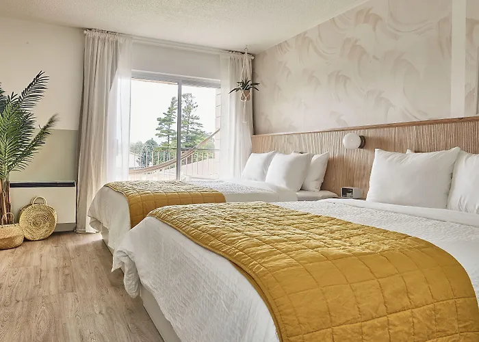 Sauble Beach Motels