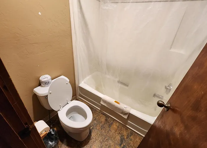 Bellevue Motels