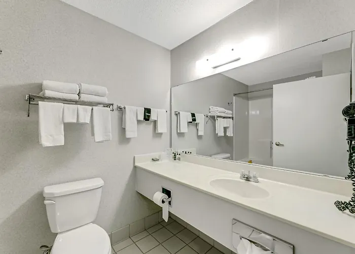 Remer Motels