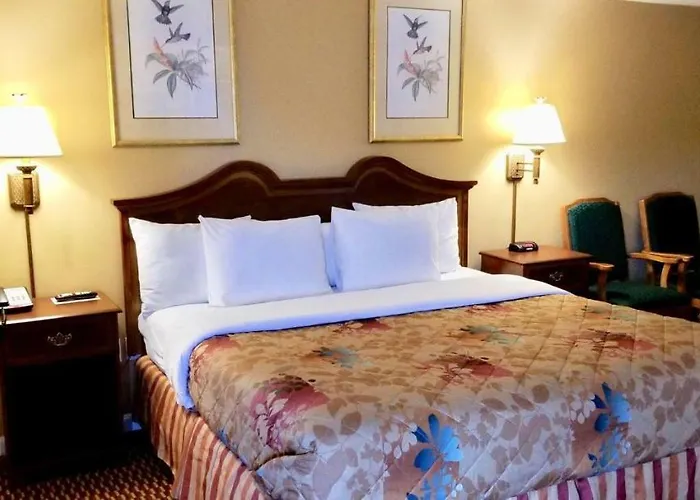 Lexington Motels