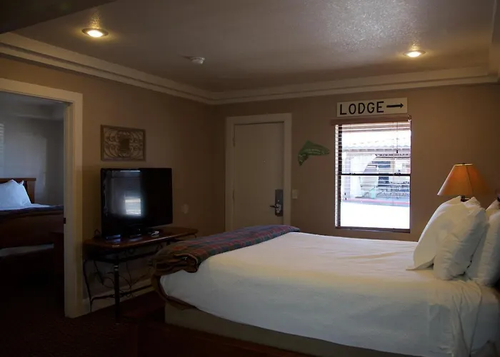 Williams Motels